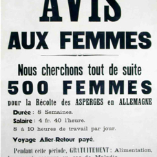 B AFFICHE13  2e Partie L'OCCUPATION RECRUTEMENT POUR LE TRAVAIL EN ALLEMAGNE.tif