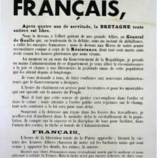 B AFFICHE10 L'OCCUPATION REPRESSION RACIALE.tif