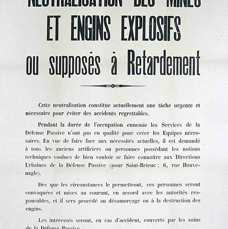 B AFFICHE14 L'OCCUPATION REPRESSION RACIALE.tif